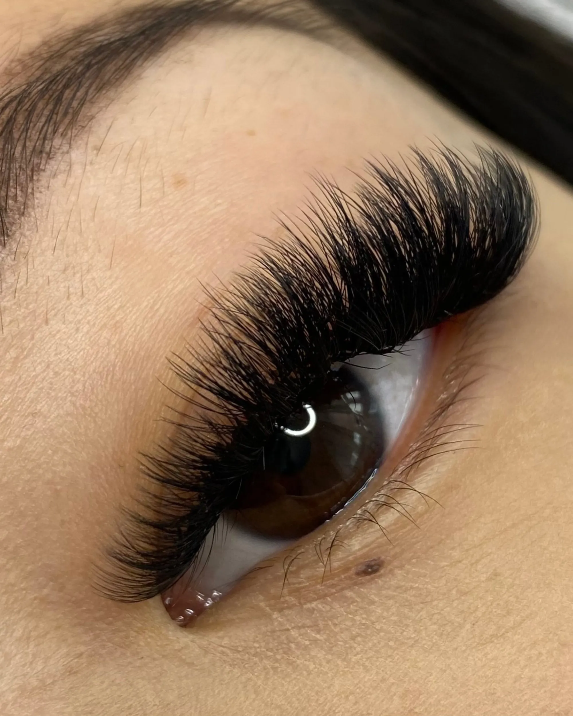 CC-Curl Runway Lash Extensions (Single-Length Trays)