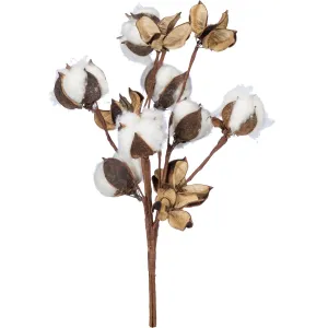 Cotton Pick