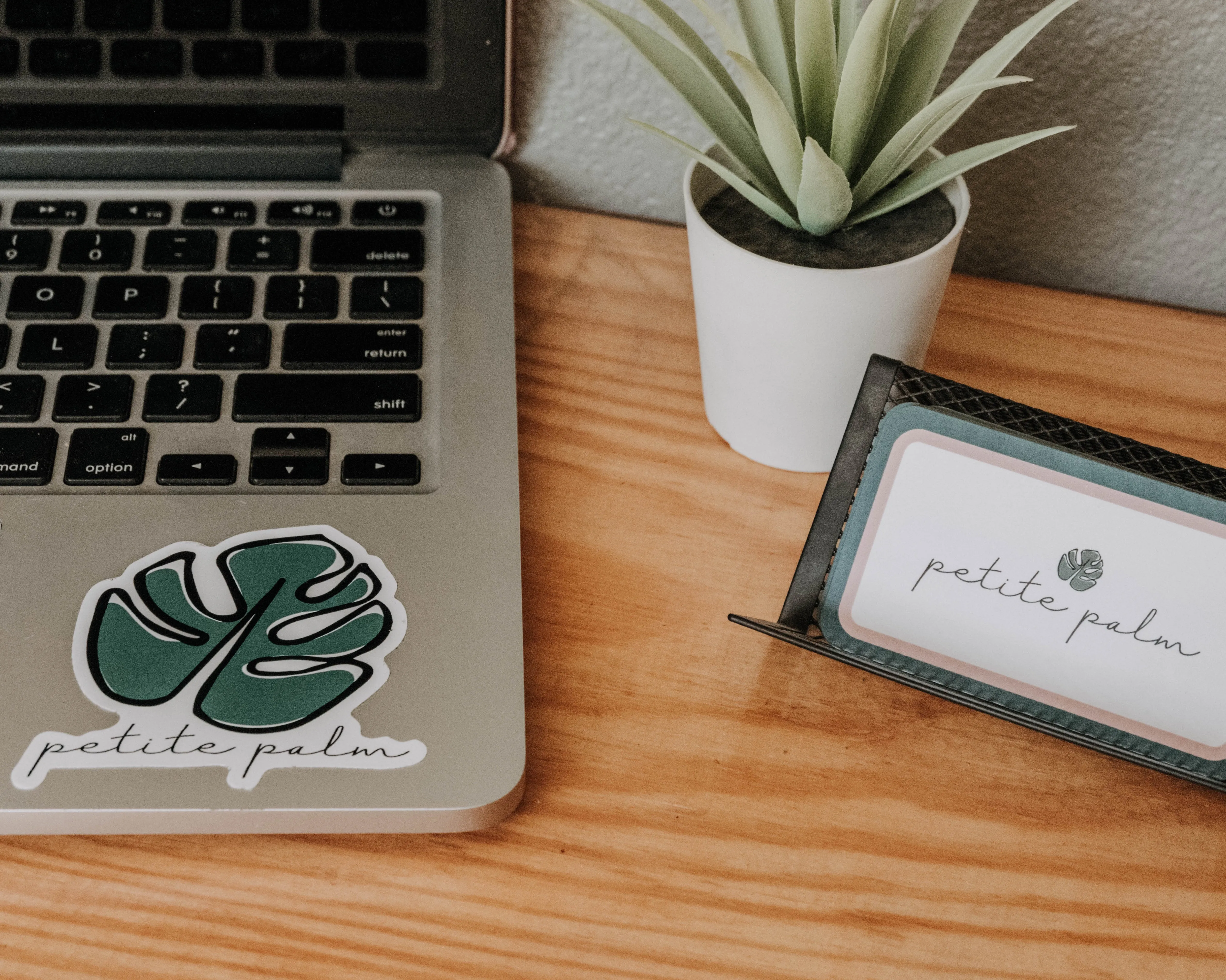 Donation Decal -  Education Programs