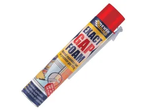 Expanding Foam - Hand Held 750ml (EVERBUILD)