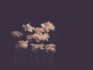 Family Dark Floral Print
