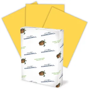 International Paper Paper for Copy 8.5x11 Copy & Multipurpose Paper - 30% Recycled