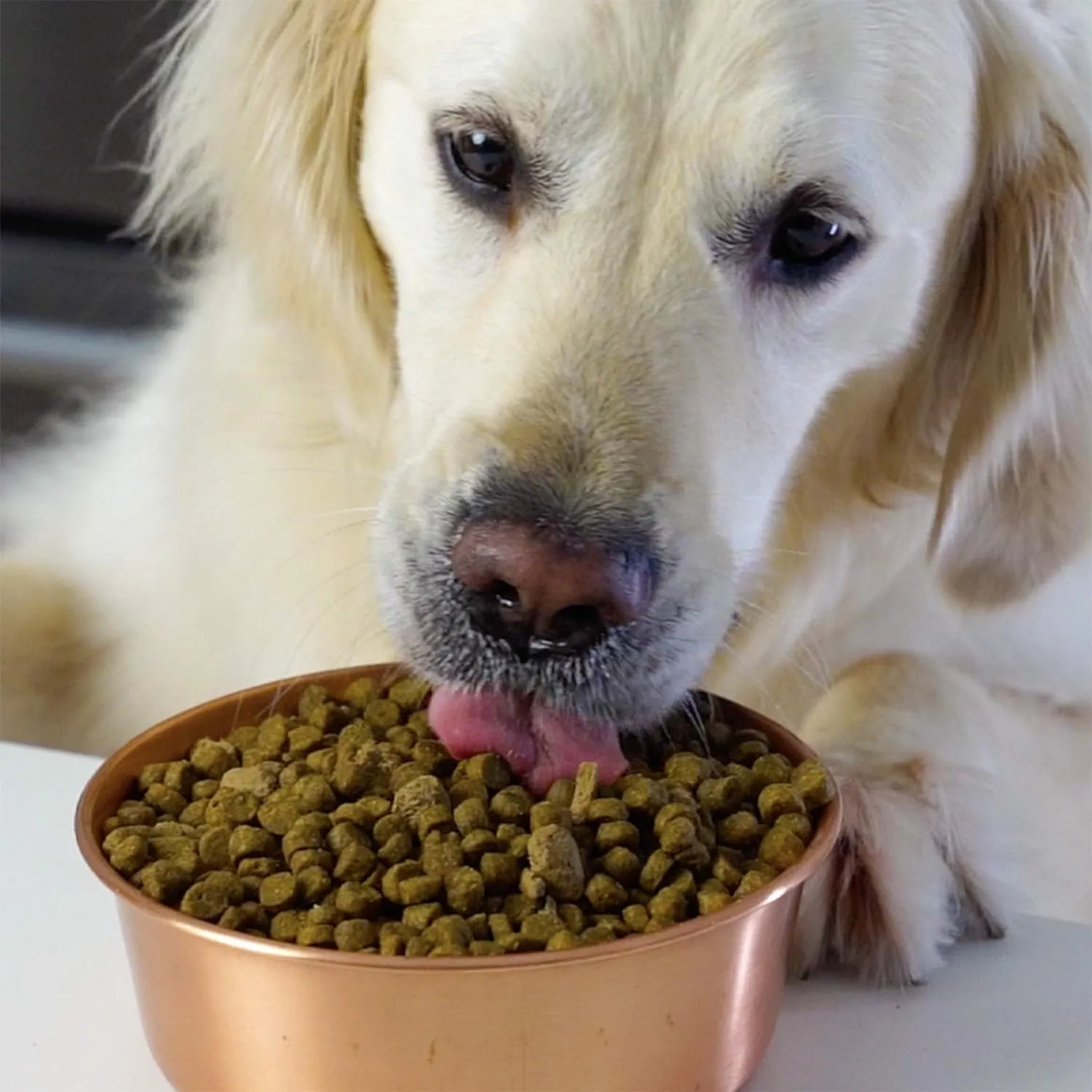 Open Farm Dry Dog Food Whitefish