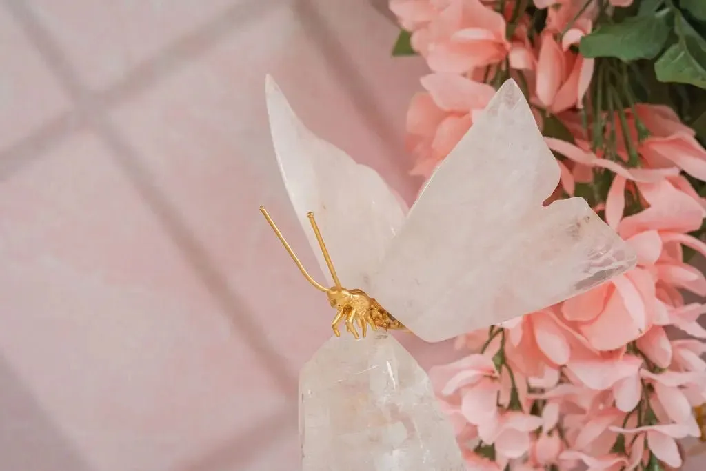 Rose Quartz Butterfly on Quartz Base