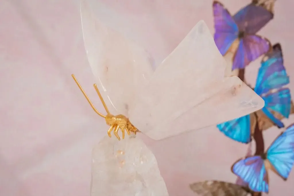 Rose Quartz Butterfly on Quartz Base