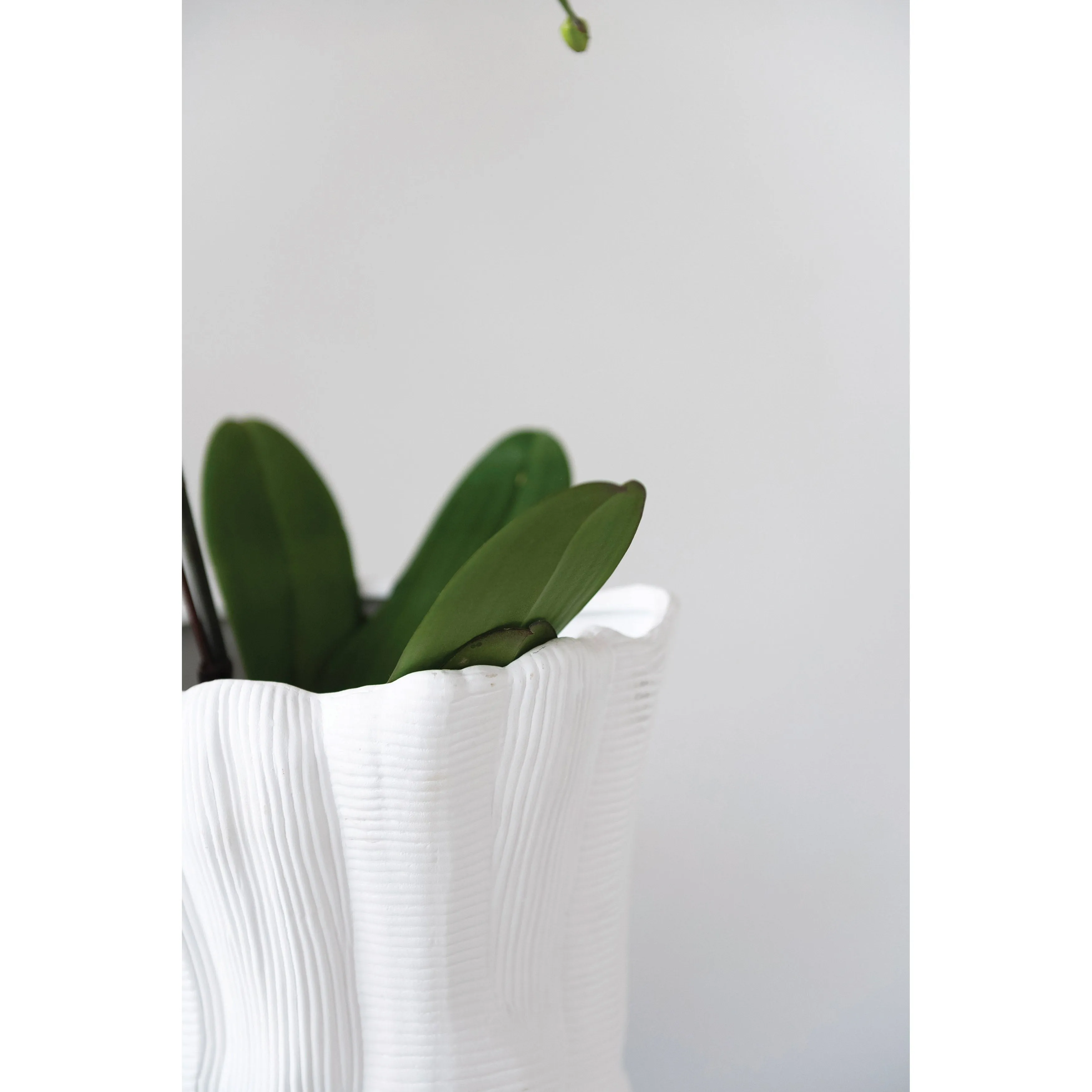 Ruffled White Stoneware Vase