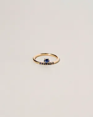 Stacked Ring - Sapphire & Black Diamond